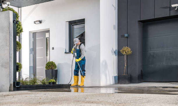 Best Sidewalk and Walkway Cleaning  in Sissonville, WV